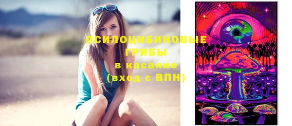 дмт Аркадак