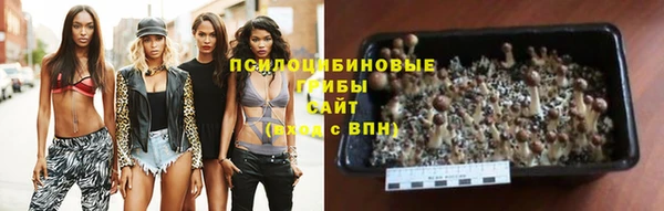 mix Арсеньев
