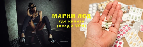 шишки Армянск