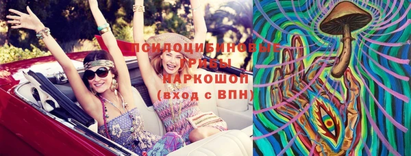 дмт Аркадак