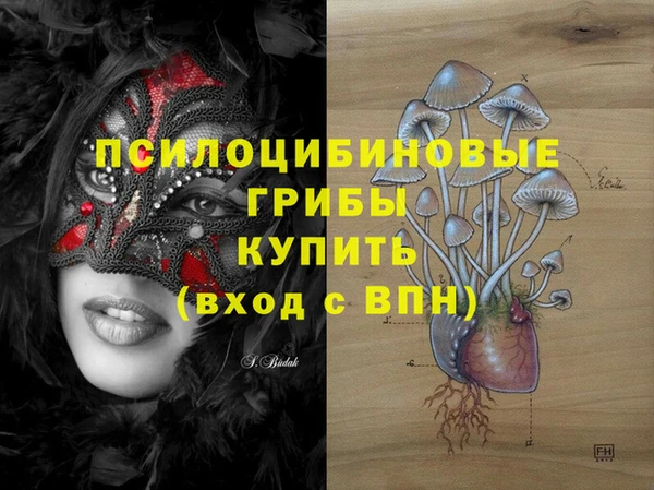 дмт Аркадак